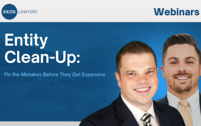 Entity Clean-Up: Fix the Mistakes Before They Get Expensive